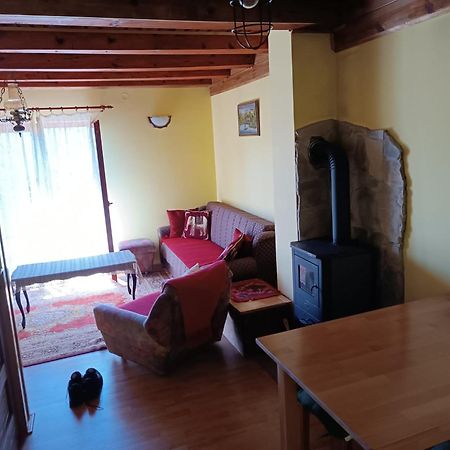 Vila Mitrovic Bajina Basta Buitenkant foto